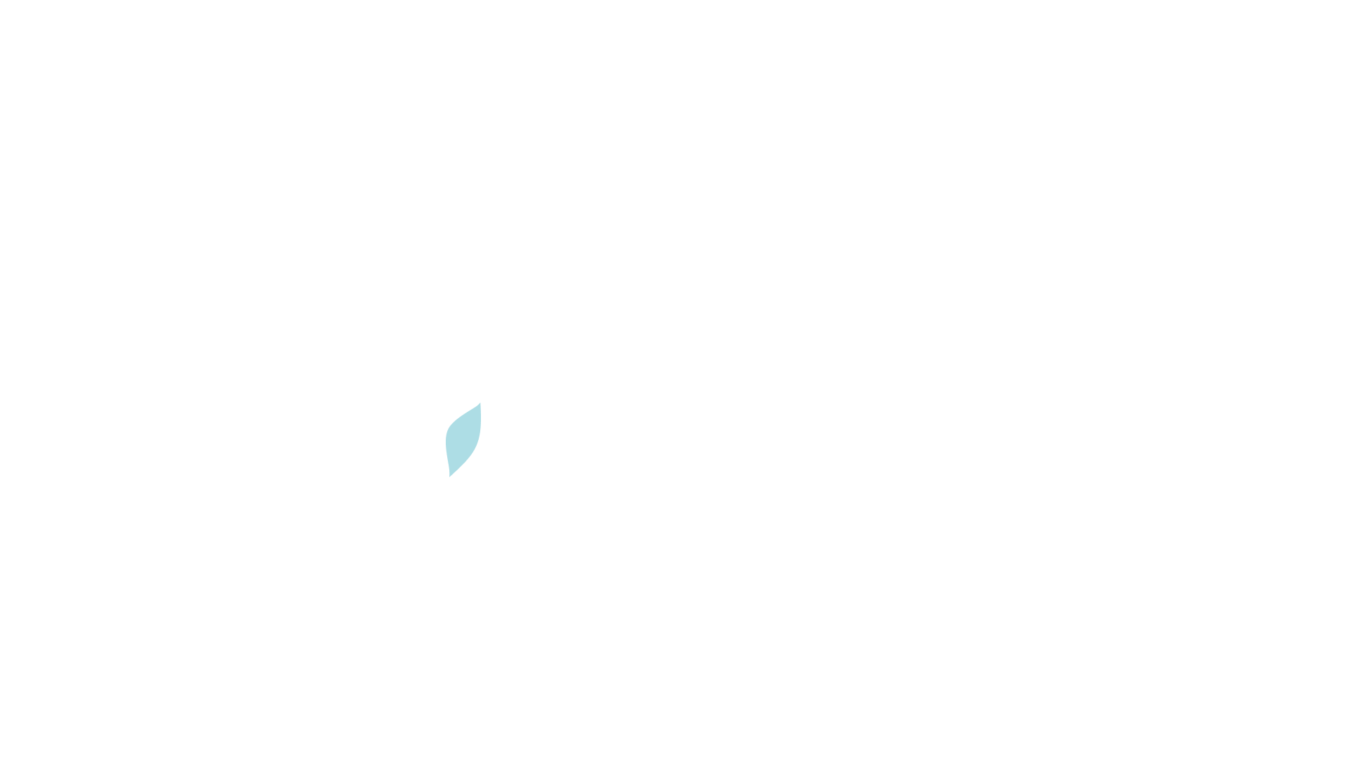 Nowle logo